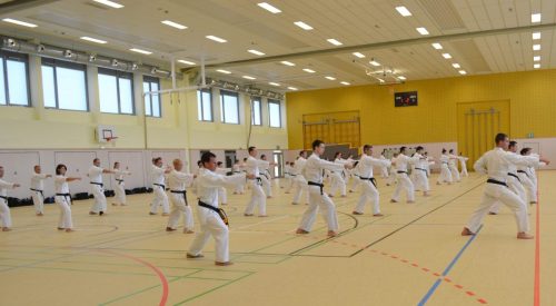 2014 Training in Landstuhl mit Kuda Sensei